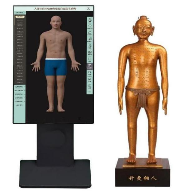 人体针灸穴位光电感应交互数字系统