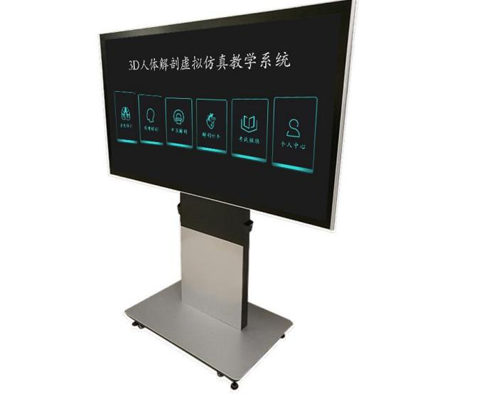 3D人体解剖虚拟仿真教学系统