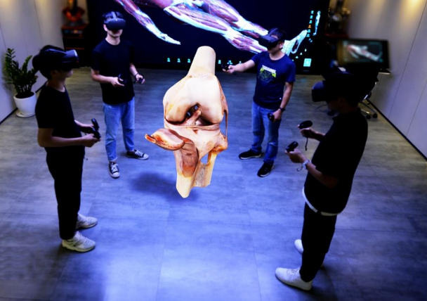 3D人体解剖虚拟仿真教学系统